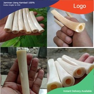 Pipa ONCE TULANG IGA DUYUNG ORIGINAL KUALITAS TERMURAH panjang 8-10 cm