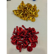 Colourful Body Rivet Body Cover Clip Yamaha Y15zr Y15 v1 v2  Nvx v1 v2 Lcv8 Honda RS150 Rsx ( 1 pcs ) In Set Ready Stock