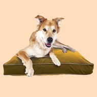 Yogibo โยกิโบเบาะนอนสุนัข รุ่น Doggybo Medium 65 x 85 ซม.