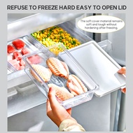 Transparent Airtight Sealed Freezer storage for meat with cover Food Storage Container space saver