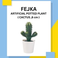 FEJKA Artificial Potted Plant ( Cactus, 6 cm )