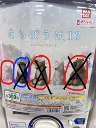 動物 扭蛋 水豚 狐狸 海天使 等待系列13 (剩海天使)