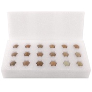 Packaging carton for Mini Japan Puyuh Egg Quail Coturnix Egg Tray Mini Egg Tray 18 holes come with c