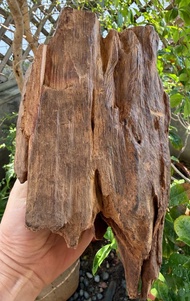 加里曼丹 野生沉香老料 1053公克 沉香擺件 星洲系 #沉香 #山奇藝