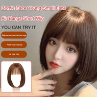 【Ready Stock】Korean Style Sweet Short Bob Wig For Women With Air Bangs - Korean Bob Wig/Short Hair W