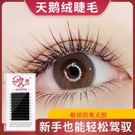 [0.05/0.07 B C D+Velvet Eyelashes] Soft Thick Single Grafted Eyelashes Sunflower Comic Style