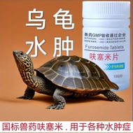 Sammy Turtle Edema Edema Limbs Edema Limbs Edema Limbs Edema Limbs Edema Neck Water20251121