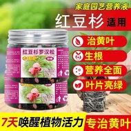 Chinese Yew Special Fertilizer Fir Fertilizer Organic Nutrient Solution Leaf Spraying Particles Slow Release Fertilizer