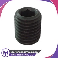 Worm Screw (12.9) M2-0.4 x 2-M2-0.4 x 8