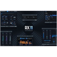 iZotope RX 11 Advanced (VST Plugin) [Windows Only]