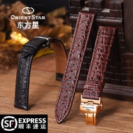 Orient star orient star Watch Strap Crocodile Leather Genuine Leather Steel/Butterfly Buckle Men Wom