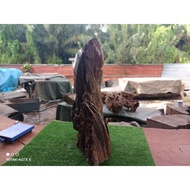 Original Cengal Mas solid wood slab for indoor @ outdoor home decor, Garden or Outdoor fish aquarium