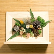 記憶封存乾燥花相框 - 春天配色 禮物
