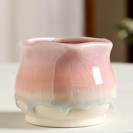 Tyk b.Best-Selling Ice Cracked Glaze Gradient Rainbow Succulent Ceramic Flowerpot Creative Simple Br