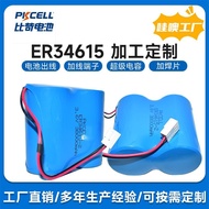 Terminal Lithium Geomagnetic Chip Non-Battery Welded Battery Flow Meter Rechargeable Asia ER34615Hea