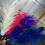 Drumband Hat Feather