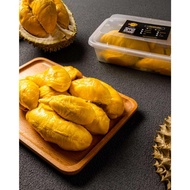 Premium Blackgold Mao Shan Wang / D197 Musang King