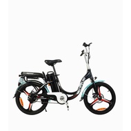 ECO DRIVE 48V PAB Ebike (V2)