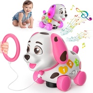 3-in-1 Musical Puppy Toys for 1 Year Old Girl Gift, Eduional Baby Toy 6-12-18 Month, 1st Birthday Gi
