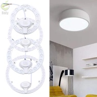 ROLY LED Module White Remould 12W 18W 24W 36W Ceiling Lamp Source