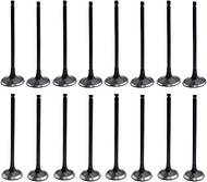 ZDTOPA 2.4L Engine Intake & Exhaust Valve 22211-25000 22212-25040 Replacement for Hyundai Kia 2.4L G