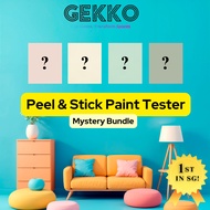 Paint Sample - Mystery Bundle - GEKKO Peel And Stick Nippon Paint Tester / Paint Sample