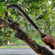 Bendo Babat Rumpuk Semak Belukar Tebal - Arit Panjang Potong Suket Gajahan - Sabit Golok Potong Rant