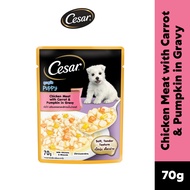 GWP] CESAR Wet Puppy Food Pouch – Premium Dog Food for Puppy in Chicken Carrot Pumpkin in Gravy, 70g