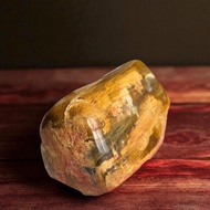 Petrified wood GHT69 - C12.5cm x N8cm