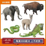 【客之坊】CollectA我你他野生動物 非洲象美洲野牛羊駝綠樹蟒鬣蜥 模型玩具