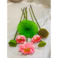 COMBO OF A1 SILK LOTUS