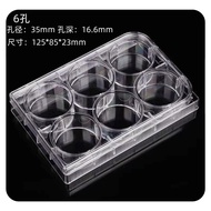 6-Well 12-Well 24-Well 48-Well 96-Well cell cultur 6-Hole 12-Hole 24-Hole 48-Hole 96-Hole cell Cultu