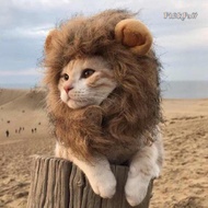 【PinkPaw】 Lion Pet Headdress Cat Cute Funny Headgear/ Bekalan Haiwan Peliharaan Hiasan Kepala / Pet Scarf Dog collars Lightweight Polyester Hat/ Pet Supplies