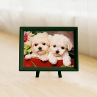 Pintoo Puzzle XS P1073 Puppies in gift box