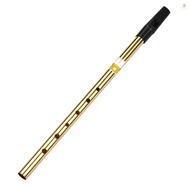 Irish Whistle Flute Key of C 6 Holes Flute Wind Musical Instruments for Beginners Intermediates Expe