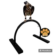 Perch Bop Owl Falconry Tangkringan D Tangkringan Stand Eagle Owl Parrot Perch Bird's Leg Tangkringan