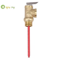 WYA-20 99C 102PSI 210F WYA-20 0.7Mpa to Valve  3/4 Inch Temperature and Pressure Relief Valve As  Sa
