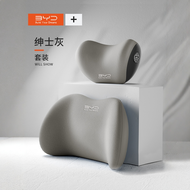 Ghế Ô Tô Thể Thao Một Mảnh Dianna plus Phù Hợp Với Xe Hơi BYD Sông Song Khai Evacuation Boat Hoa Mắt