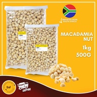 Raw High Quality Macadamia Nuts Blanched Macadamia Kacang Macadamia Imported Half Macadamia Halal
