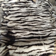 kulit kambing bulu motif harimau putih