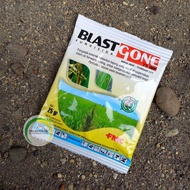 Blastgone 75 WP 25gram Fungisida Pembasmi Jamur Penyakit Blast Tanaman Padi / Blasgone obat jamur / Fungisida Blasgone