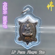 龙婆本 招财龟 - 背面 八臂神猴哈努曼 LP Pern Phaya Tao + Hanuman