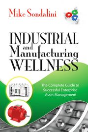 Industrial and Manufacturing Wellness Mike Sondalini