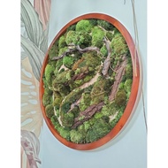 MOSS ART / MOSS WALL ART / PRESERVED MOSS / ABADI MOSS