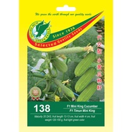 GE 138 F1 HYBRID MINI KING CUCUMBER