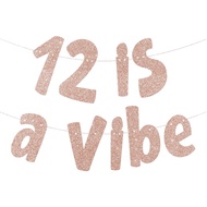 12 is a Vibe Banner, Pre-Strung Glitter Rose Gold 12th Birthday Banner, Funny 12th Birthday Decorati