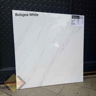 Bologna White Valentino Gress 60x60