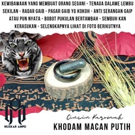 Cincin Titanium Khodam Macan Putih Asli – Energi Spiritual Tinggi & Perlindungan – Aksesoris Berkara