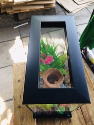 ตู้เลี้ยงปลาขนาด (กxยxส) 6x8x8 พร้อมฝาฐาน พร้อมอุปกรณ์ตกแต่ง