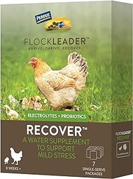 FlockLeader Recover, Electrolyte Probiotic, Mild Stress Supplement for Chicken Flock, One Week Serving, 7 Packets